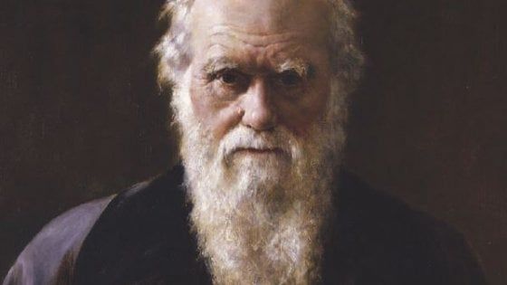 "Darwin me fa specie", quando la scienza parla romanesco