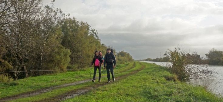 365 volte Europa. La nostra sfida all'Occitania