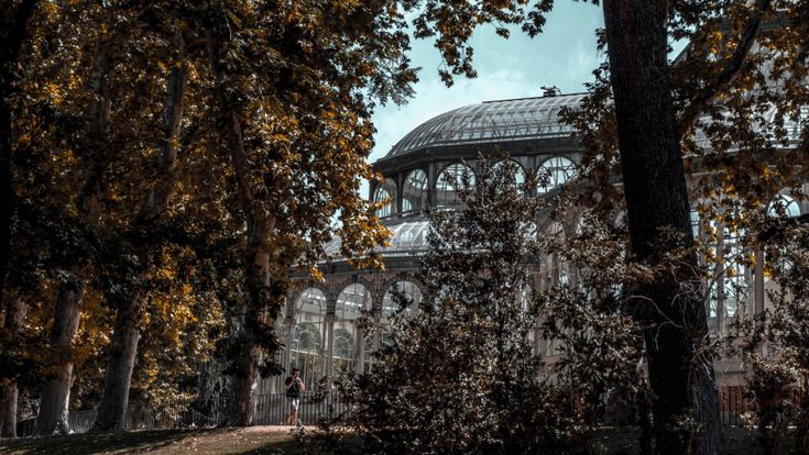 Madrid, un "bosco metropolitano" per fare della città del Prado e del Reina Sofia una città sostenibile