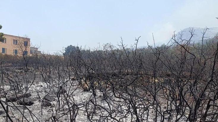 Il girone dantesco della Quisquina: evacuate 100 persone