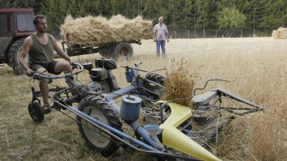 Agricoltura, Coldiretti: la Regione blocca 40 milioni per la burocrazia 