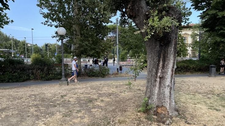 Emergenza Fortezza: terra di spacciatori e giaciglio di rifugiati che chiedono lavoro