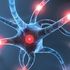 Il cervello come un computer: elettrodi e un algoritmo possono salvare i ricordi 