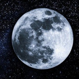 White Nose, intorno alla luna