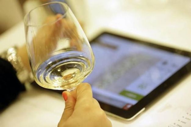 Vino, anche il bianco fa bene: un bicchiere al giorno protegge cuore e reni 