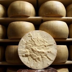 Quei 400 formaggi che senza latte perderanno il loro gusto
