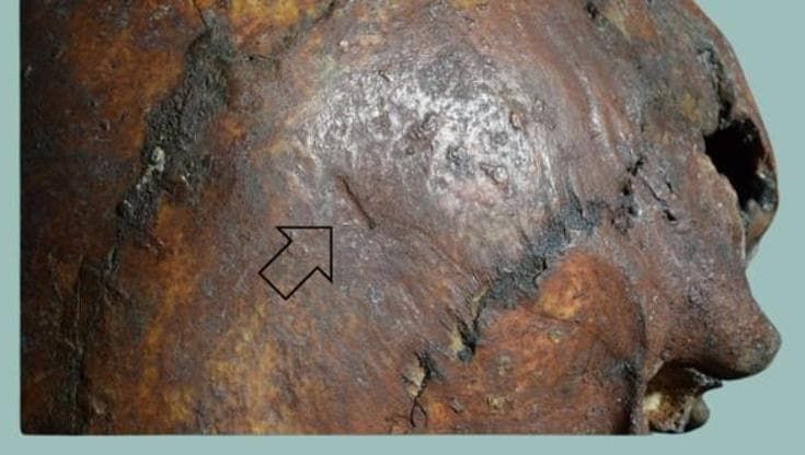 Ucciso da un orso, 28mila anni fa: gli archeologi svelano in Italia il primo attacco