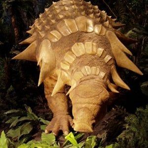 Signori, ecco il nodosauro