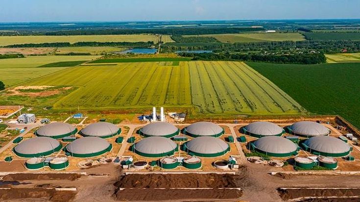 Crisi petrolifera: “Accelerare sui biofuels mette a rischio la sicurezza alimentare”