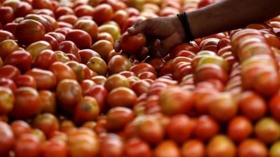 Caporalato, a Lecce arrestato 36enne: schiavizzava 32 lavoratori che lo hanno denunciato