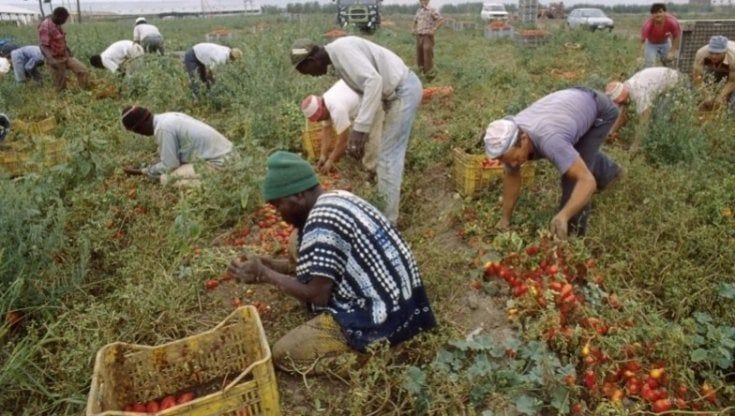 Ondata di caldo, migrante 27enne torna dai campi e muore sulla strada per Brindisi