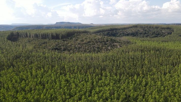 Nasce "Clima Economy": Osservatorio per le imprese del mercato volontario dei crediti di carbonio