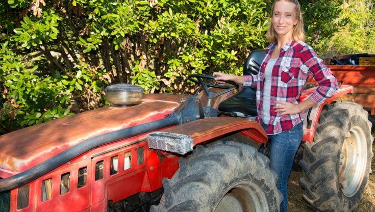 Agricoltura e turismo: ecco dove i giovani si lanciano a fare impresa. Ma sono sempre meno