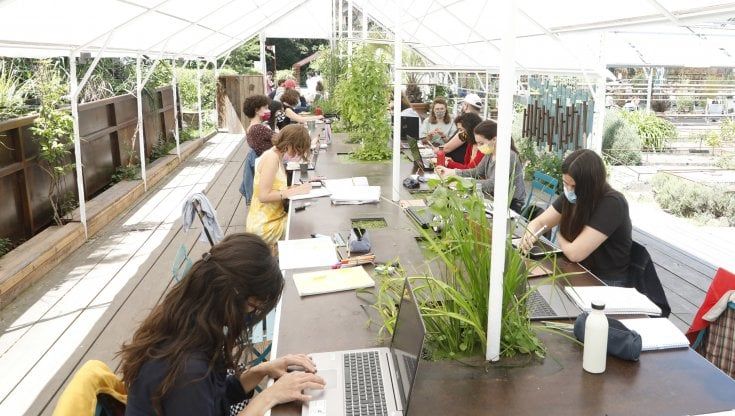 Università, scendono dell'8% gli iscritti che vengono da istituti professionali e tecnici
