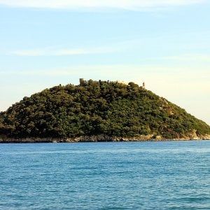 Liguria, il magnate ucraino rinuncia all'acquisto dell'isola Gallinara