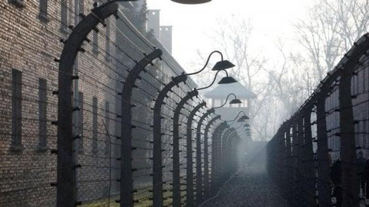 Giorno della memoria, perché la Shoah va raccontata nelle scuole