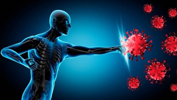 Dieta per rafforzare il sistema immunitario: si parte già da settembre