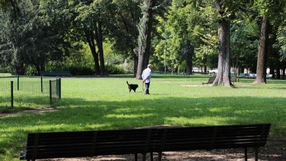 Aree cani a Milano, il Comune avvia il restyling: nuovi grandi spazi con percorsi agility 