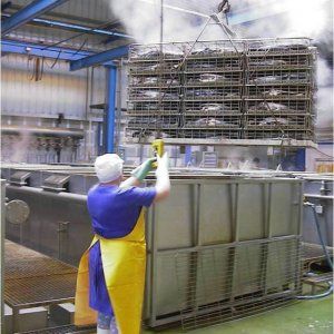 Fish Track, l'impronta digitale dei pesci che smaschera le frodi