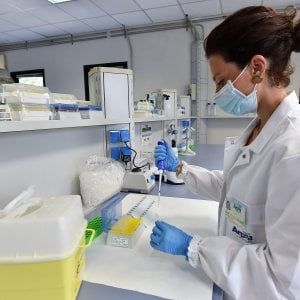 Premi Erc, i ricercatori italiani secondi in Europa 