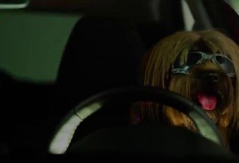 Nuova Ford Ka+, approvata dai cani