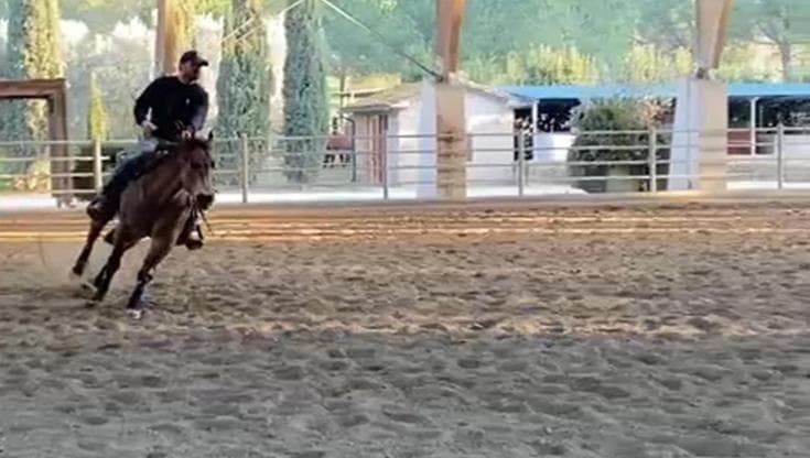 Il galoppo