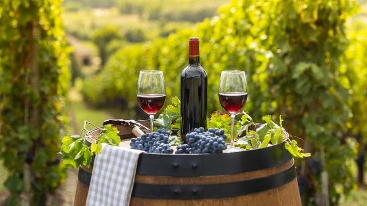 Per Bacco che vino: il viaggio in Sicilia di Cantine aperte