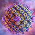 Herpes genitale, verso il primo vaccino efficace?