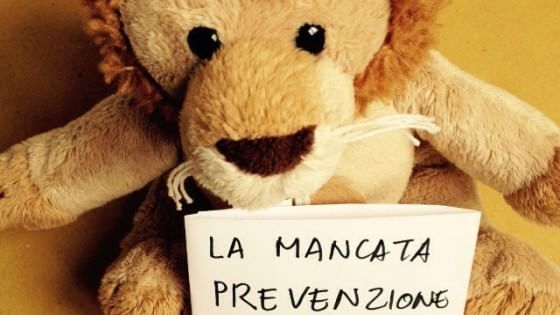 Bologna, l'Ausl vieta ai bimbi di portare i peluche a scuola