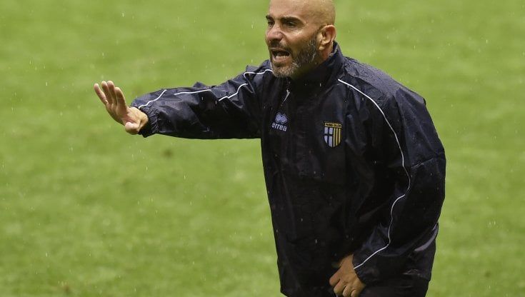 Verso Spal-Parma, Maresca: "Sarà una bella sfida. L'annata è lunga. Contro il Pisa la miglior prova finora"