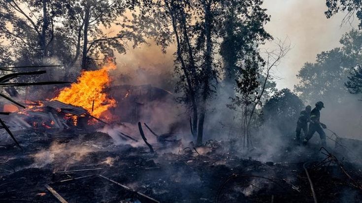 Incendio a Tor di Valle, fumo e cenere fino in centro: a fuoco rifiuti e baracche nell’ex ippodromo