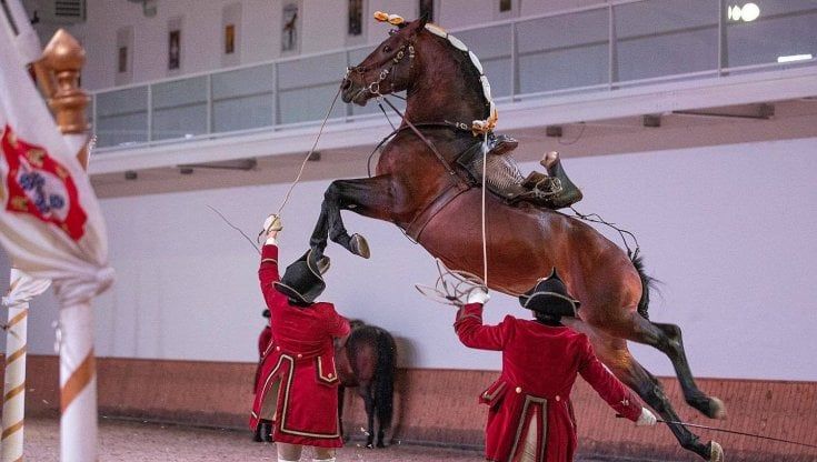 A Lisbona, dove i cavalli danzano al ritmo del fado
