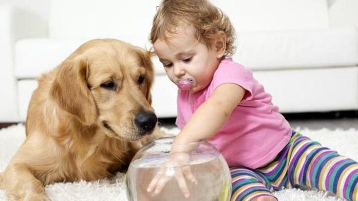 Animali domestici solidali: tutti i benefici, anche terapeutici, sulle persone che ne hanno cura