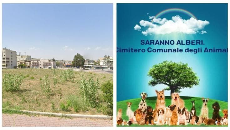 A Matera il cimitero degli animali: per ogni sepoltura piantato un albero. “Un bosco della memoria”