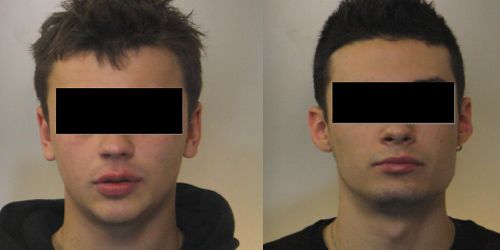 Zibello, ladri nel garage<br />sventato furto, due arresti