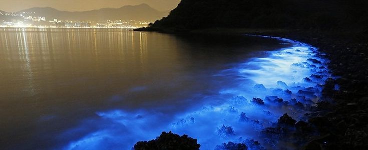 "Lampadine naturali" rischiarano l'oceano Artico in inverno