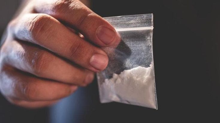 Festini chemsex a base di droga della scimmia: arrestato un professore della Sapienza