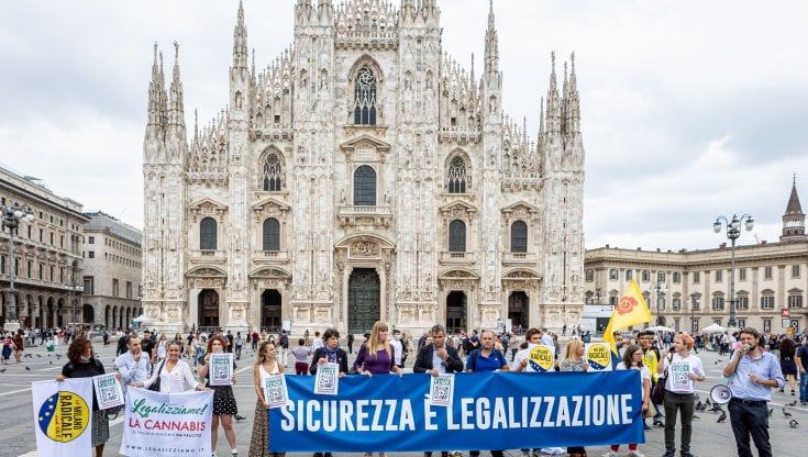 Referendum cannabis, flash mob dei Radicali in piazza Duomo per la legalizzazione: "Sicurezza è legalizzazione"