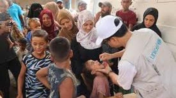 Vaccinazioni per il colera, ricominciano con 20 milioni di dosi: s’inizia con il Mozambico