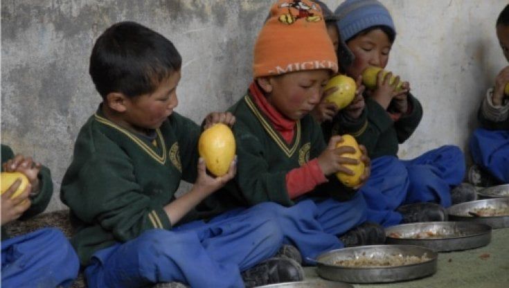 Asia-Pacifico, Il numero di affamati nella regione è aumentato di oltre 50 milioni di persone dall'inizio della pandemia