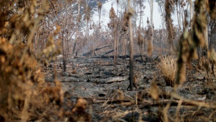 "L'Amazzonia parla all'uomo bianco, ma lui non riesce ad ascoltarla. Europei boicottate i prodotti di chi ci ruba la foresta"