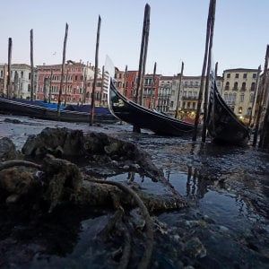 Venezia, tenta violentare una turista la notte di capodanno: arrestato 