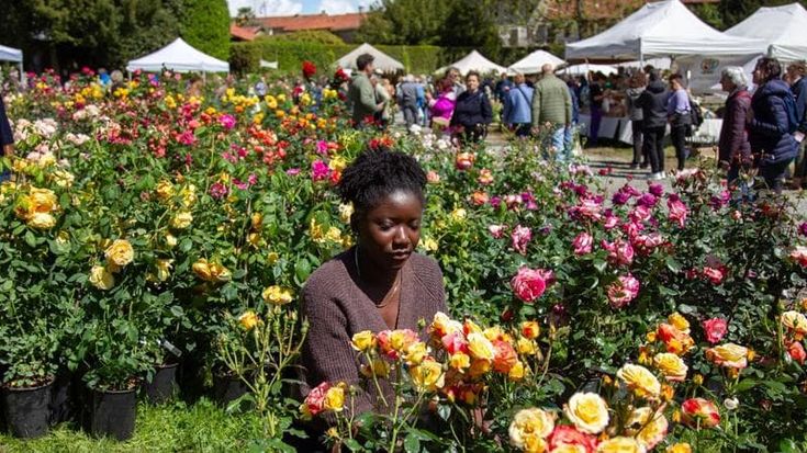 Per hobby o per lavoro in vaso o nel giardino purché siano piante