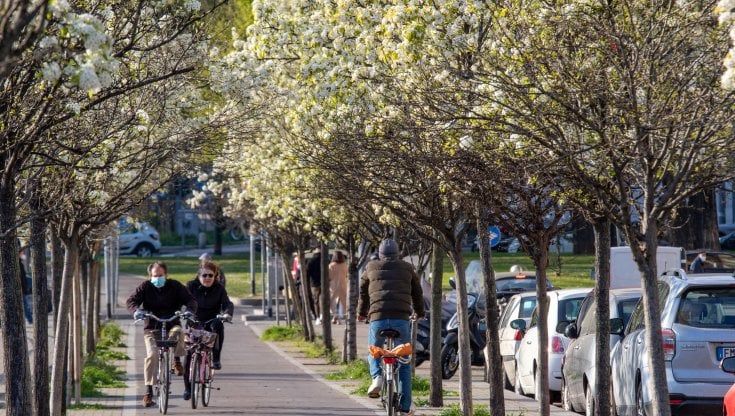 Milano, i fiori di corso Lodi adottati dal quartiere per l'oasi delle farfalle