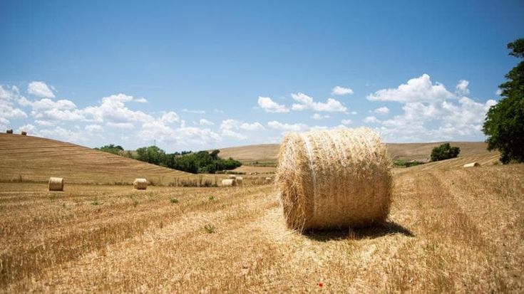 Allarme inquinamento suolo: in Italia perso il 30% di superficie agricola