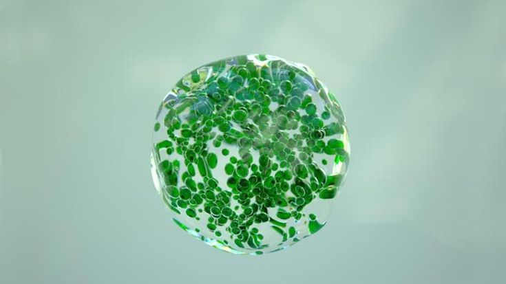 Houwer (VanEck Europe): “L’idrogeno pulito è il coltellino svizzero della decarbonizzazione”