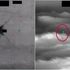 Programmi top secret, alopecie inspiegabili: i dossier sugli Ufo declassificati dal Pentagono