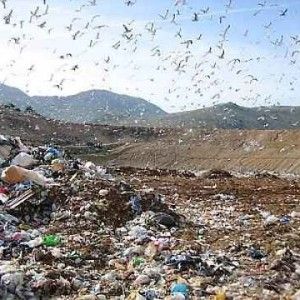 Reati ambientali, Sicilia seconda in classifica. Boom di frodi alimentari