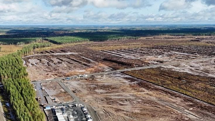 In Finlandia Google abbatte una foresta per costruirci un data center