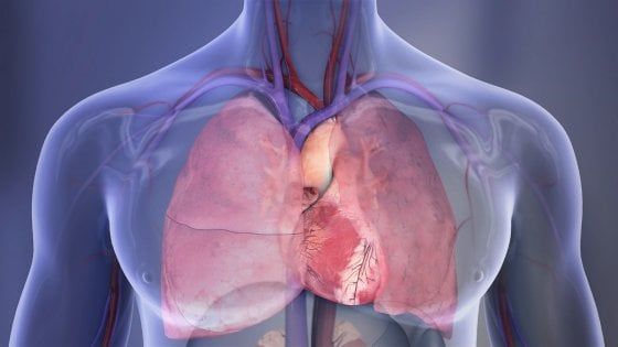 I problemi finanziari mettono a rischio il cuore